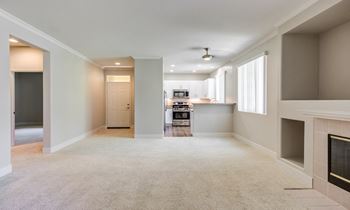 Gas log fireplaces with decorative mantels